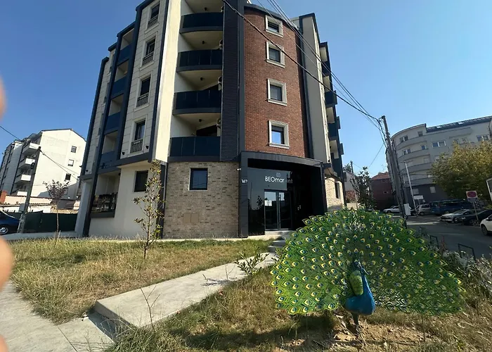 Elmora Vracar Juzni Bulevar Daire *